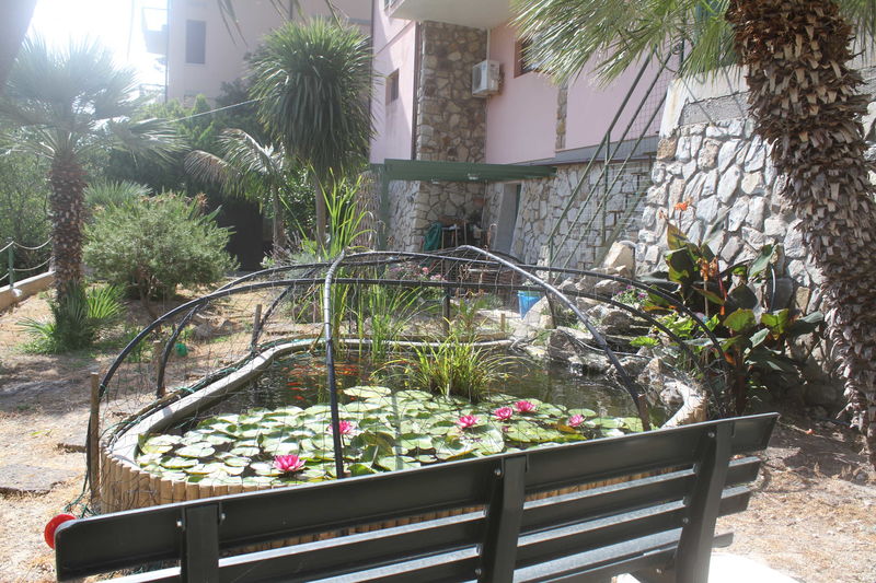 Giardino con vasca pesci
